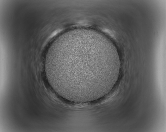 X0000086231159200704121910