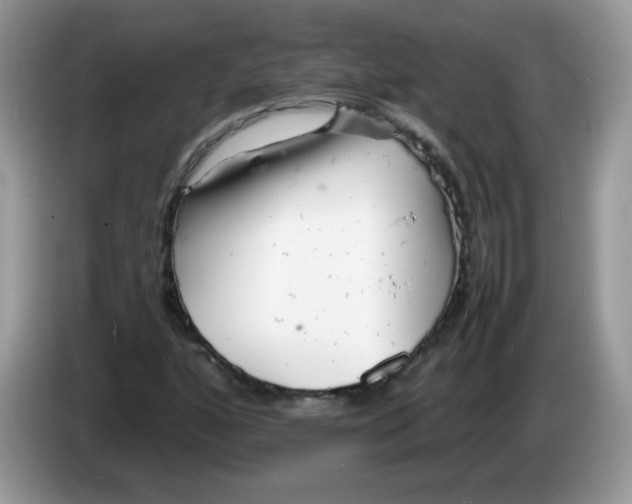 X0000086231160200704121910