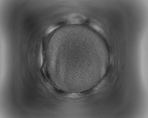 X0000086231161200704121910