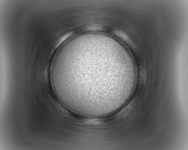 X0000086231162200704121910