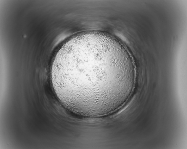 X0000086231163200704121910