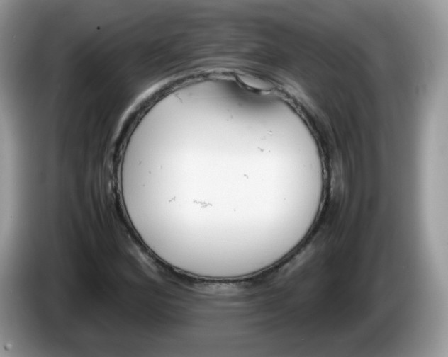 X0000086231164200704121910