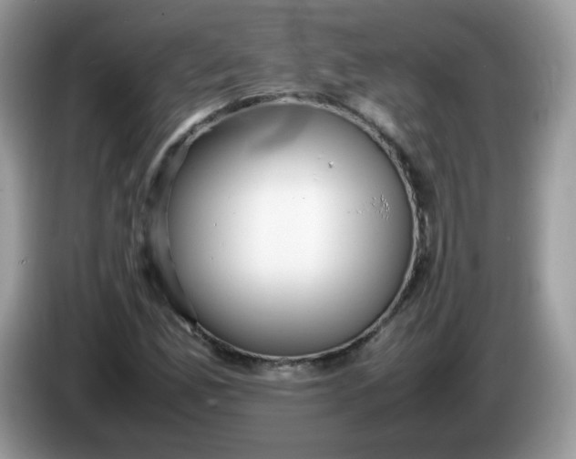 X0000086231165200704121910