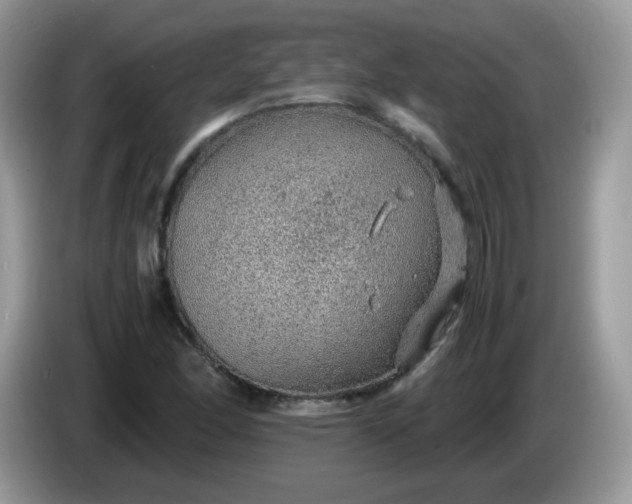 X0000086231166200704121910