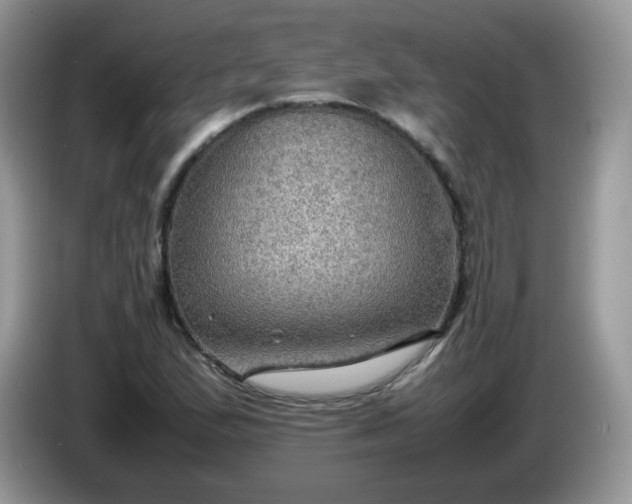 X0000086231167200704121910