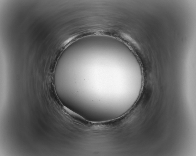 X0000086231169200704121910