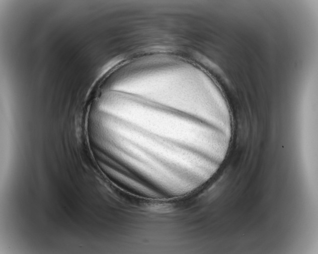 X0000086231170200704121910