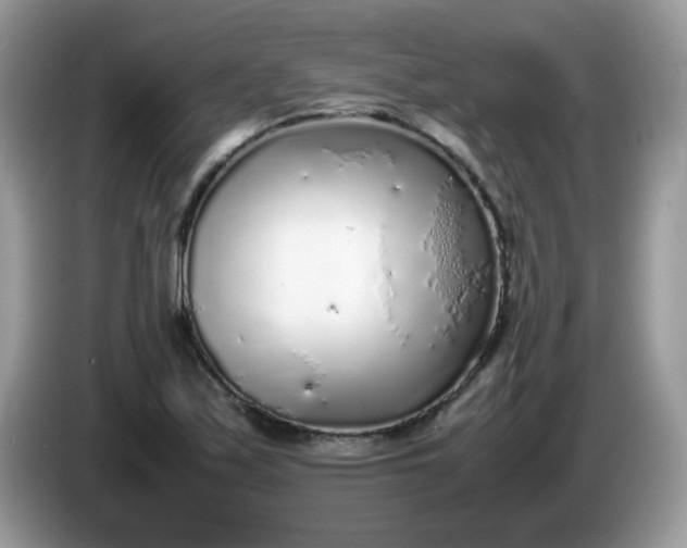 X0000086231171200704121910