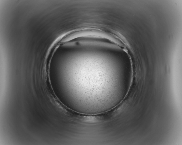 X0000086231172200704121910