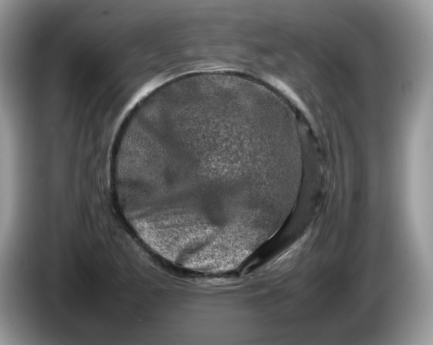 X0000086231173200704121910