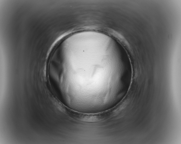 X0000086231174200704121910