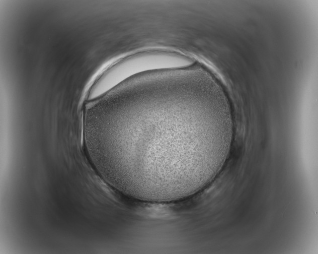 X0000086231175200704121910