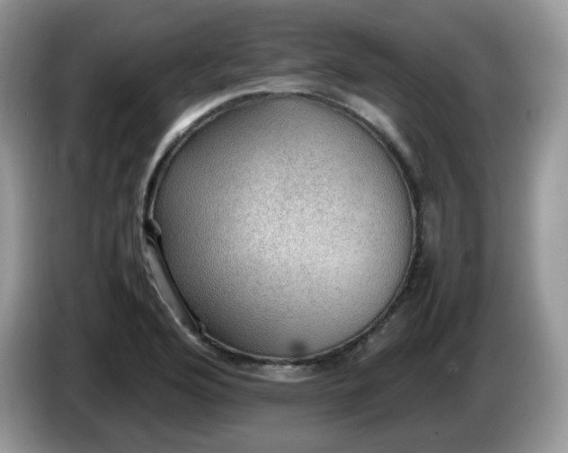 X0000086231176200704121910