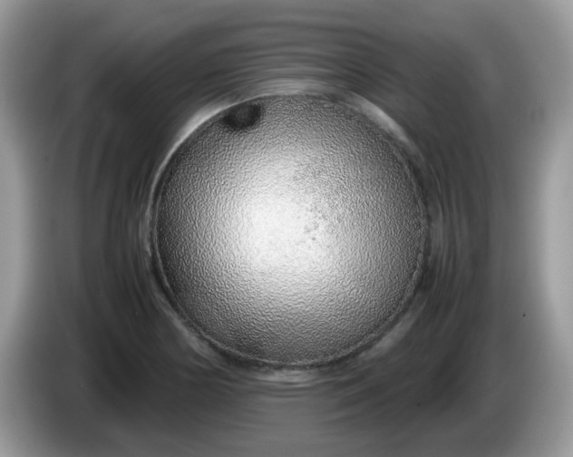 X0000086231178200704121910