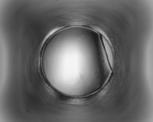 X0000086231179200704121910