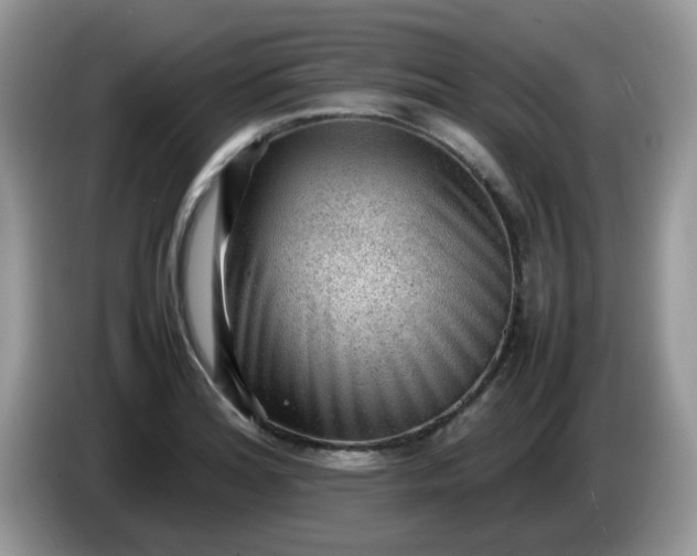 X0000086231180200704121910