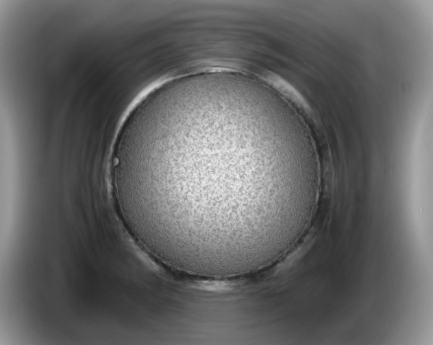 X0000086231182200704121909