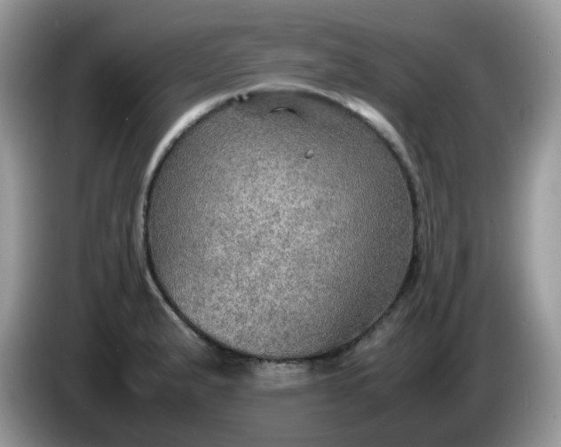 X0000086231183200704121909