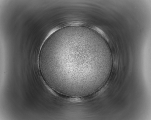 X0000086231186200704121909