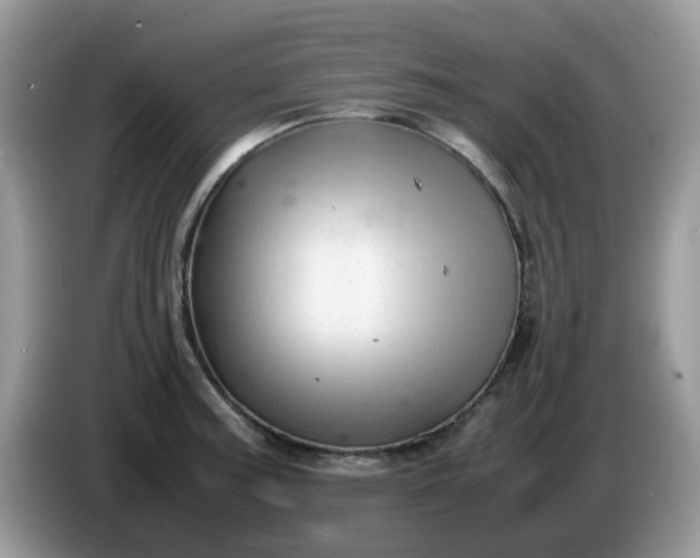 X0000086231187200704121909