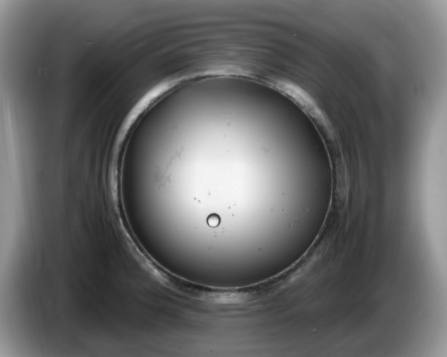 X0000086231188200704121909