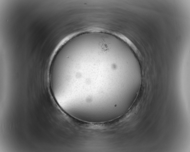 X0000086231191200704121909