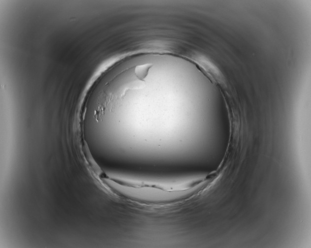 X0000086231192200704121909