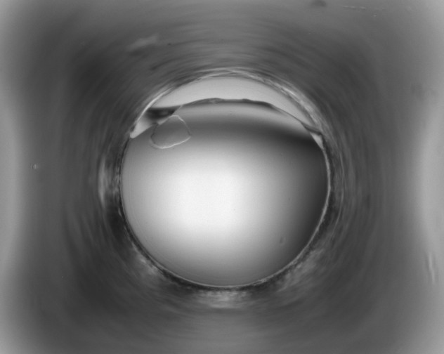 X0000086231193200704121909