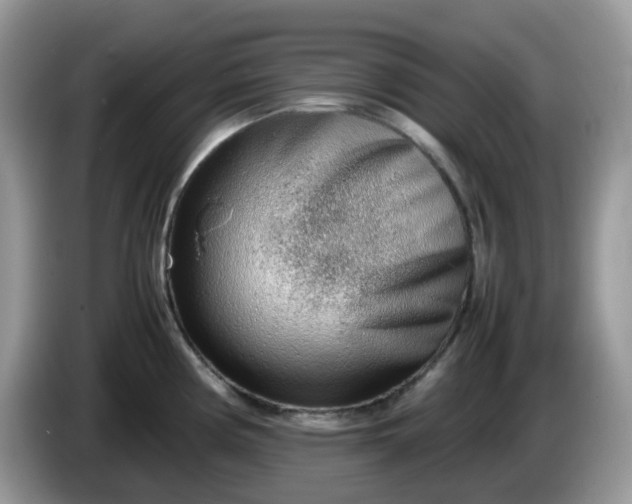 X0000086231194200704121909