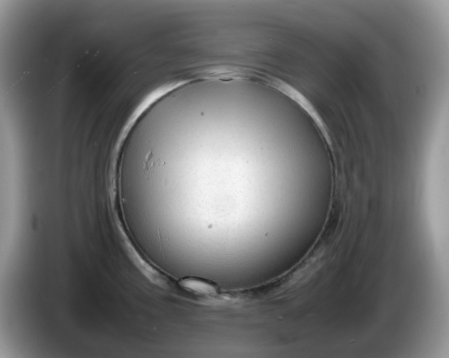 X0000086231195200704121909