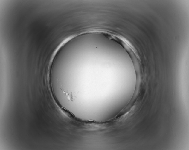 X0000086231197200704121909