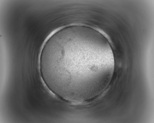 X0000086231199200704121909