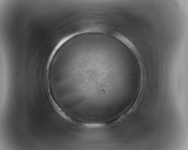 X0000086231200200704121909