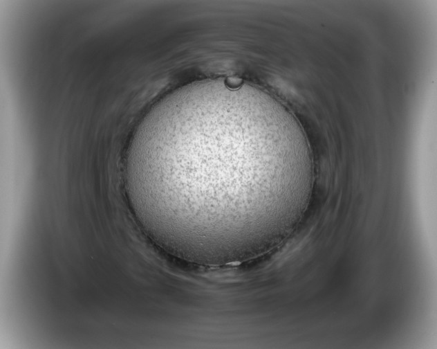 X0000086231201200704121909