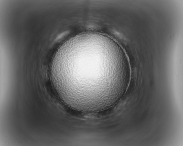 X0000086231205200704121909