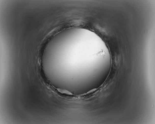 X0000086231206200704121909