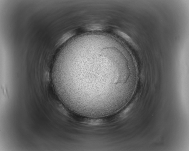 X0000086231209200704121909