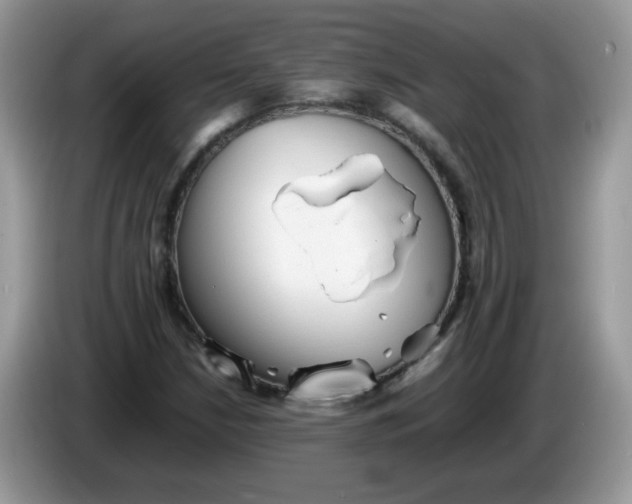 X0000086231210200704121909