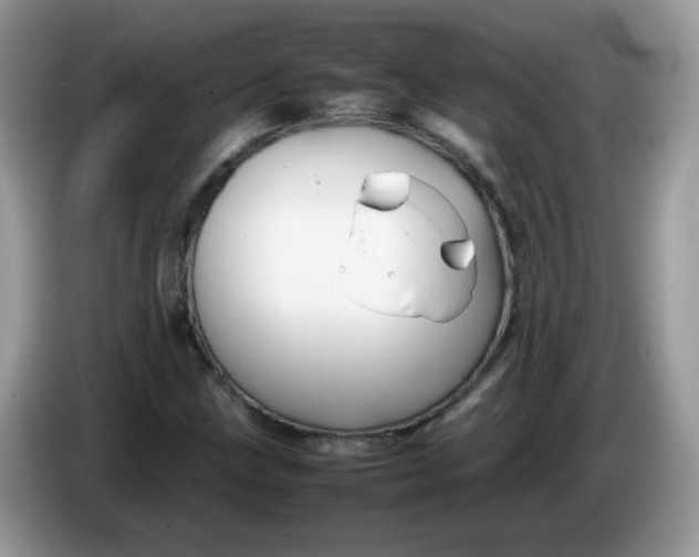 X0000086231211200704121909