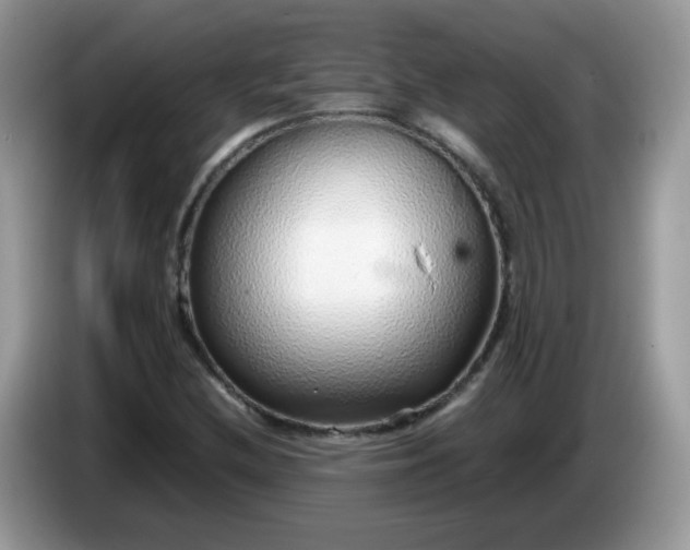 X0000086231212200704121909