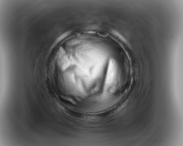 X0000086231213200704121909