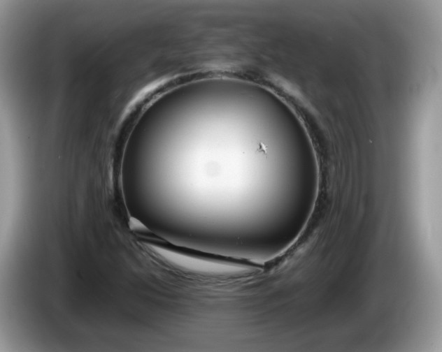 X0000086231214200704121909