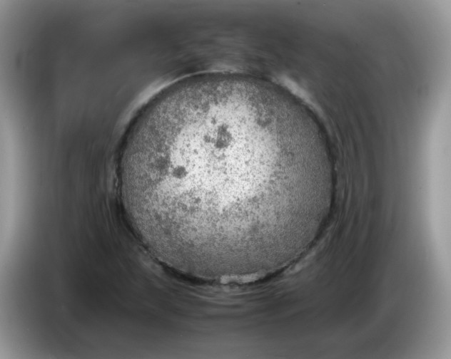 X0000086231215200704121909