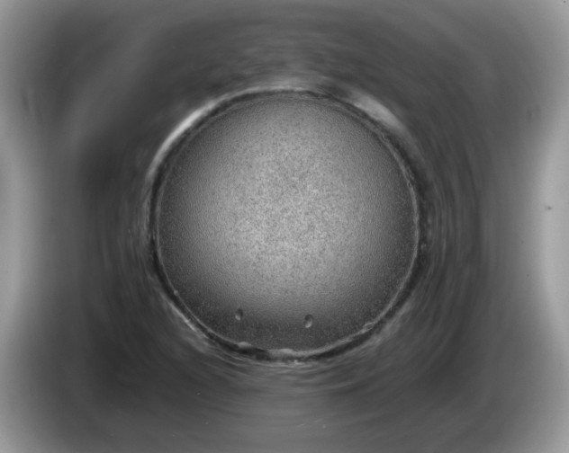 X0000086231216200704121909