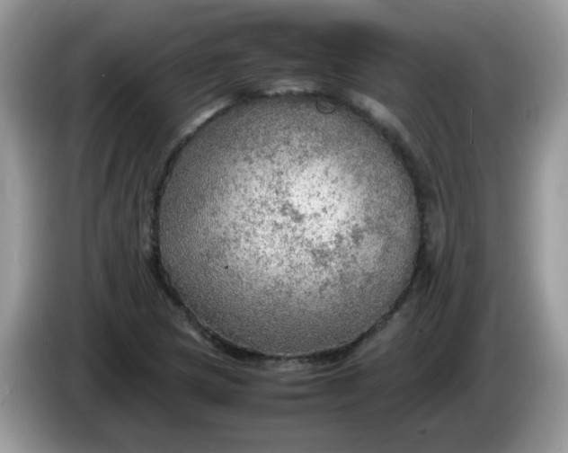 X0000086231217200704121909