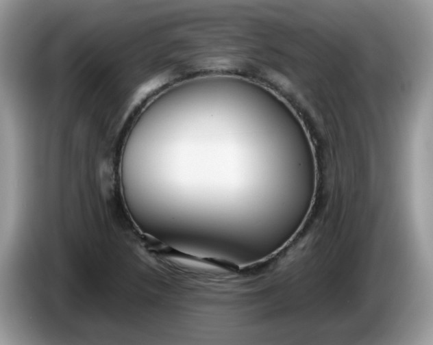 X0000086231218200704121909