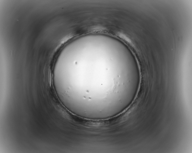 X0000086231219200704121909