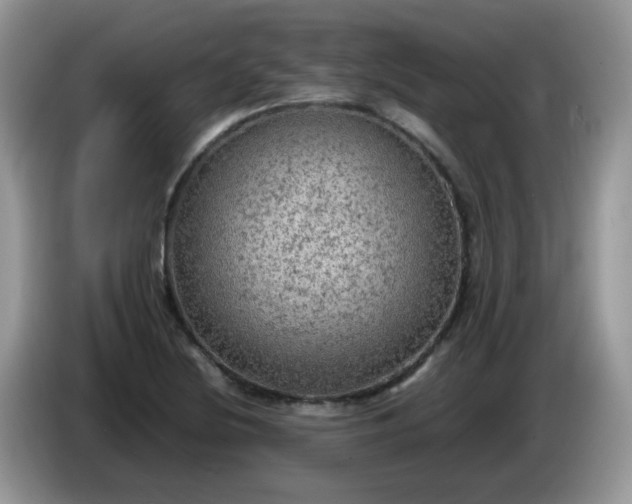 X0000086231220200704121909