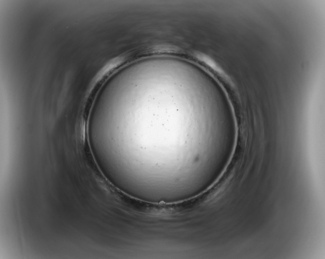 X0000086231221200704121909