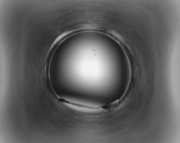 X0000086231222200704121909